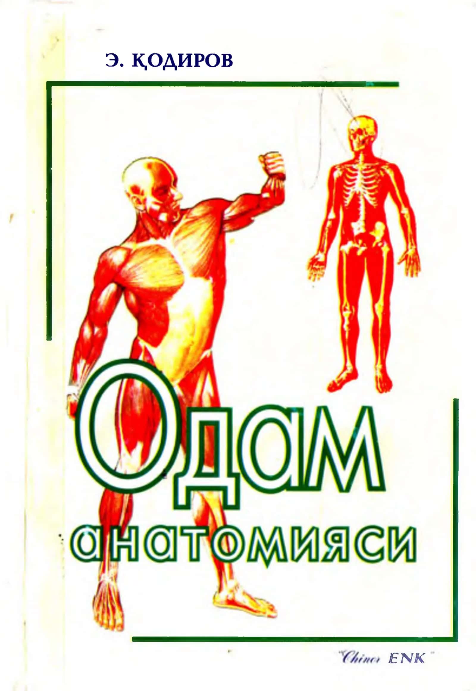 ОДАМ АНАТОМИЯСИ 1