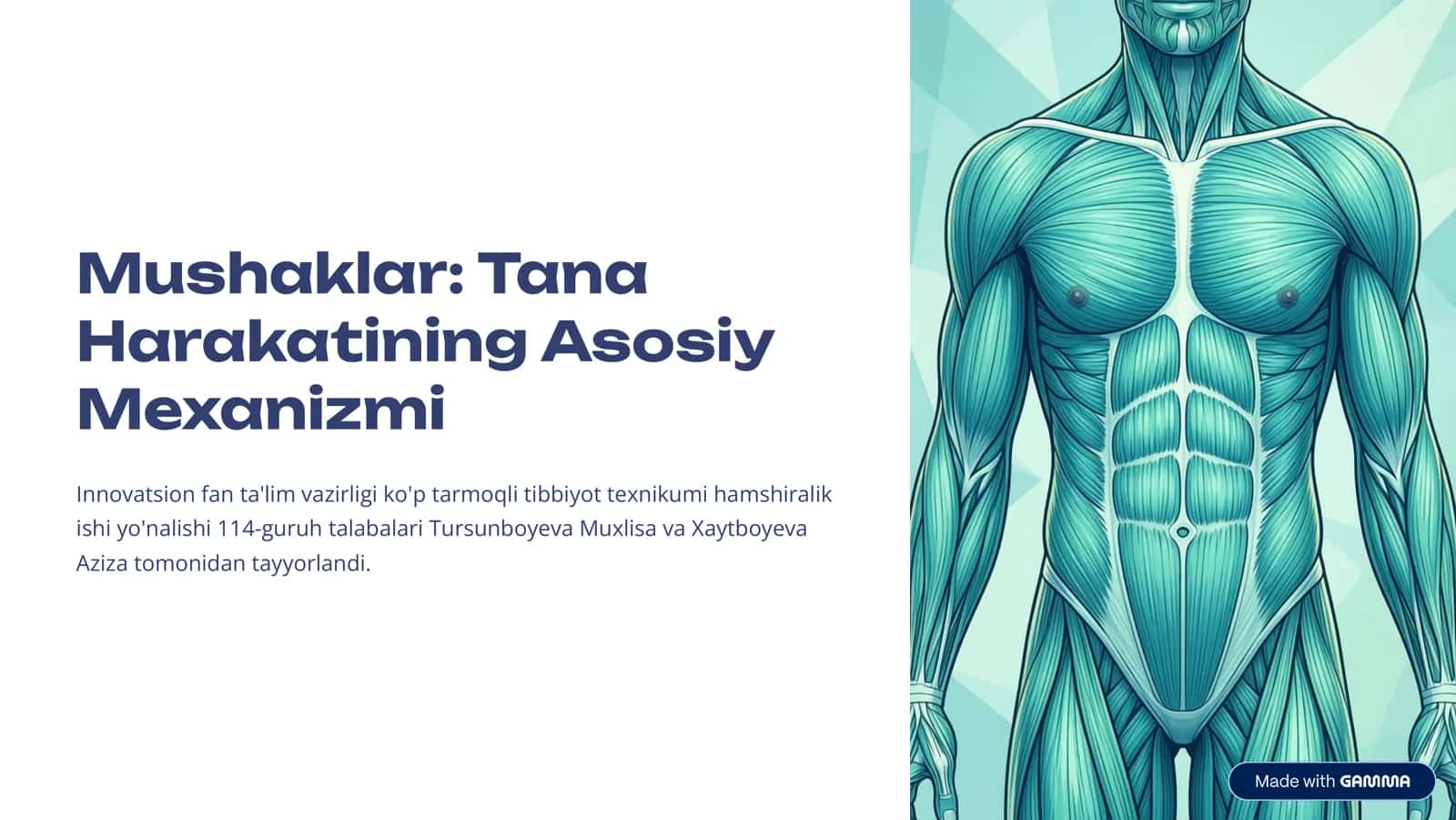 Mushaklar: Tana, Harakatining Asosiy Mexanizmi 1