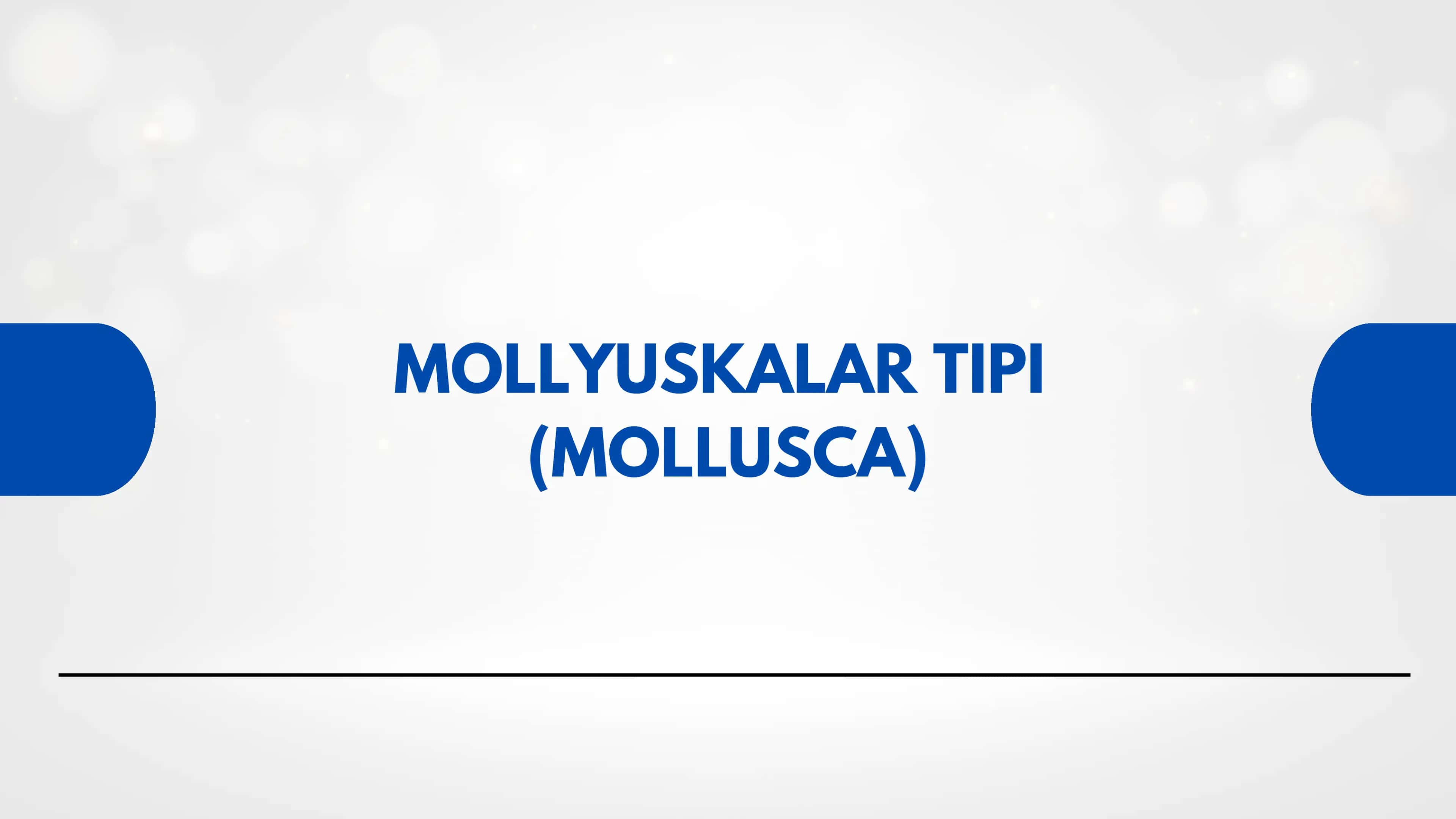 MOLLYUSKALAR TIPI (MOLLUSCA) 1