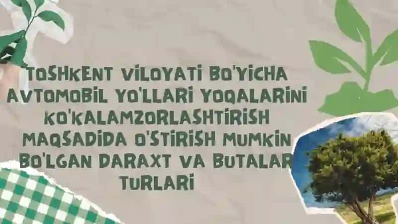 Sibir karag'anasi (Karagana), Zirk (Barbaris,), Atirgul butalari, Bargi tushmaydigan doimiy yashil butalar