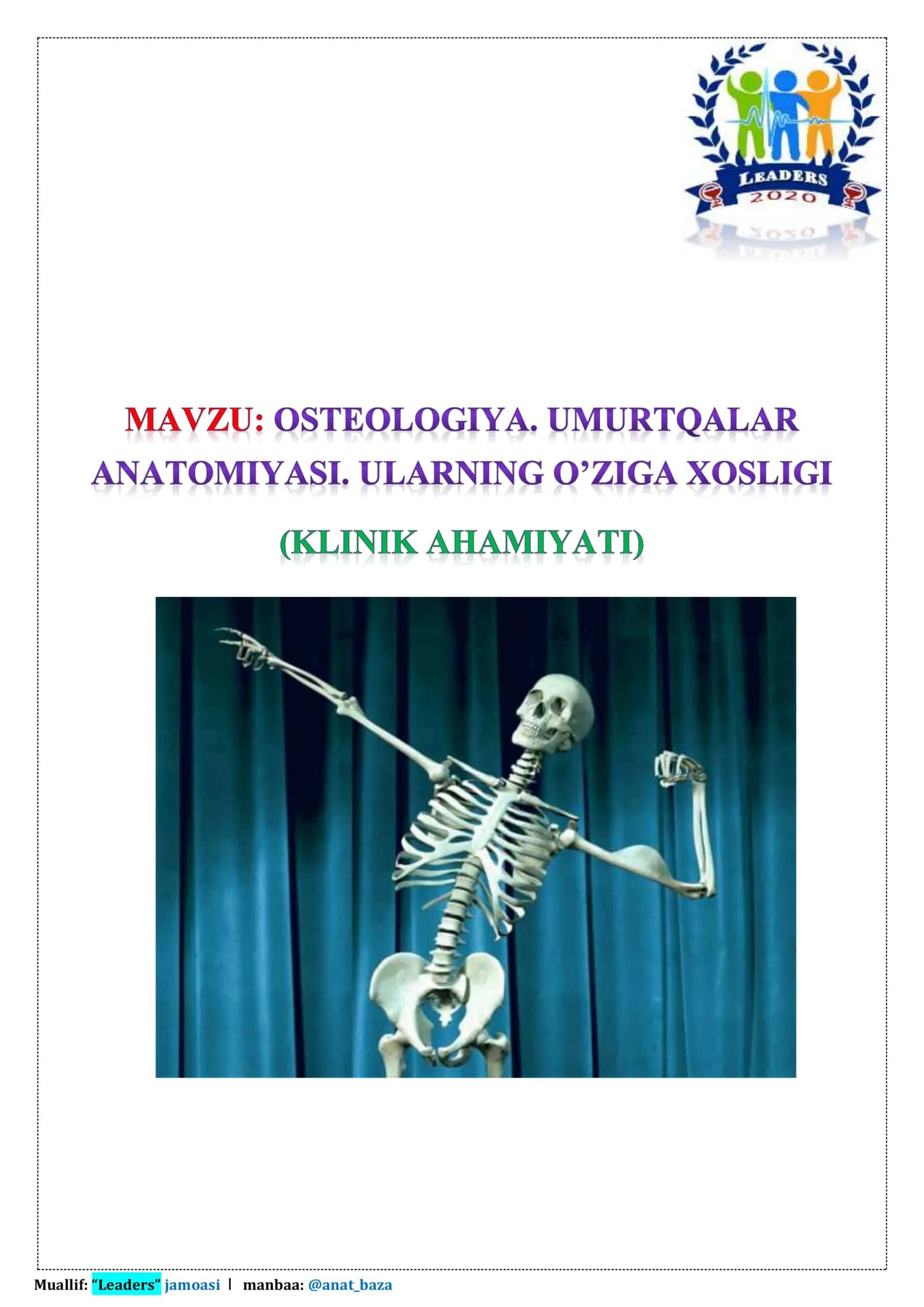 Umurtqa/To’sh/Qovurg’a 1