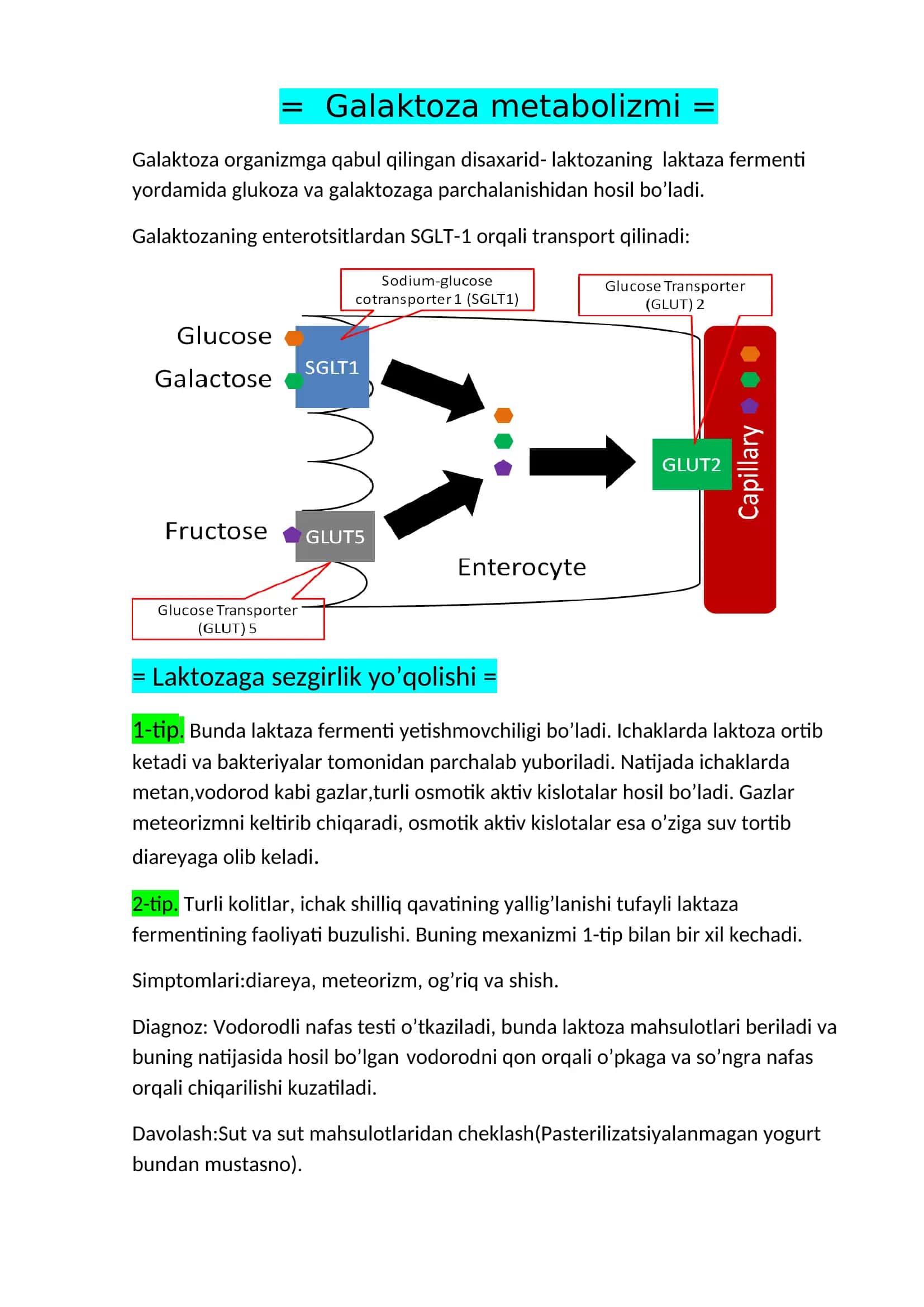 Galaktoza metabolizmi 1