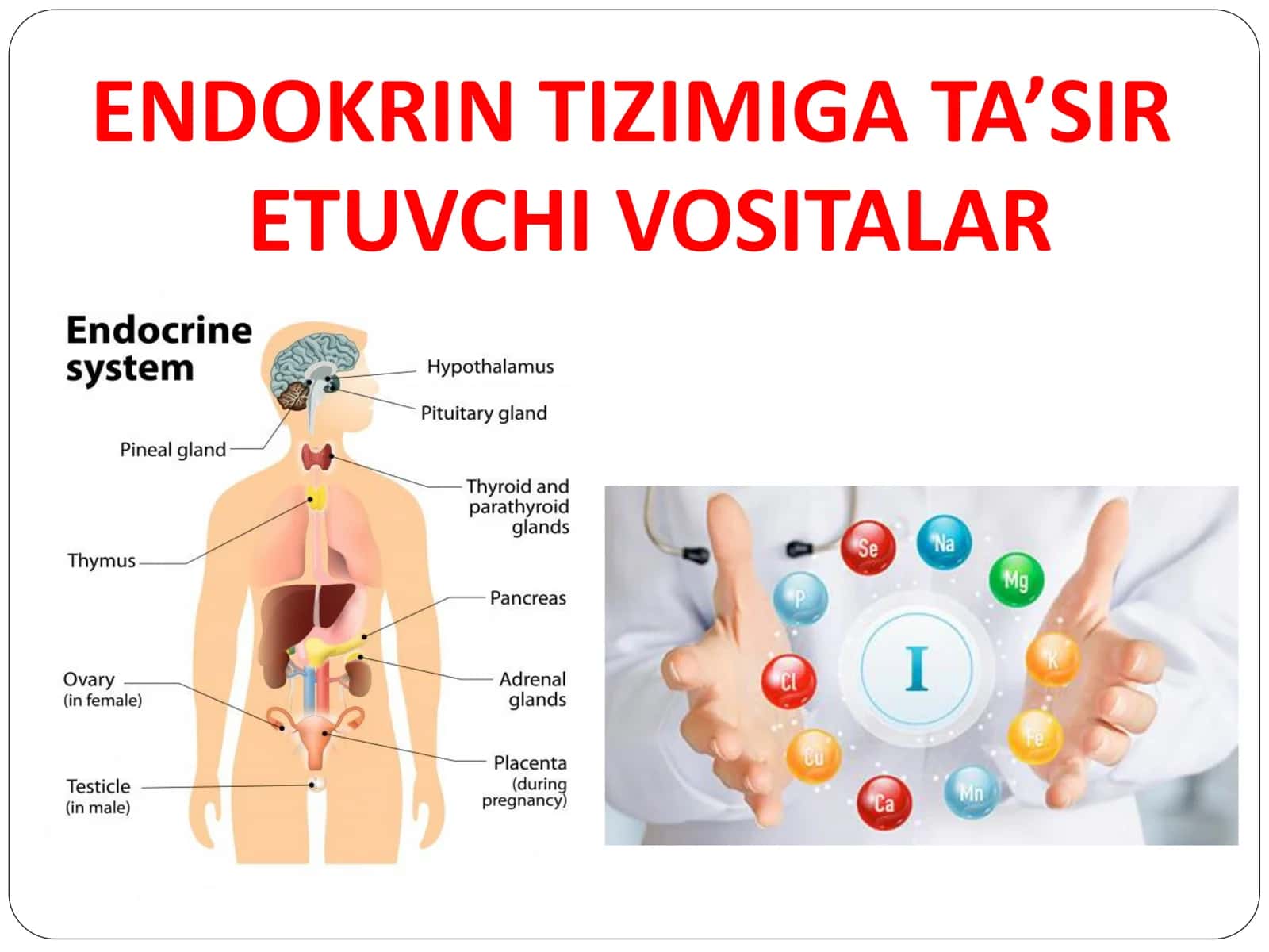 ENDOKRIN TIZIMIGA TA’SIR ETUVCHI VOSITALAR 1