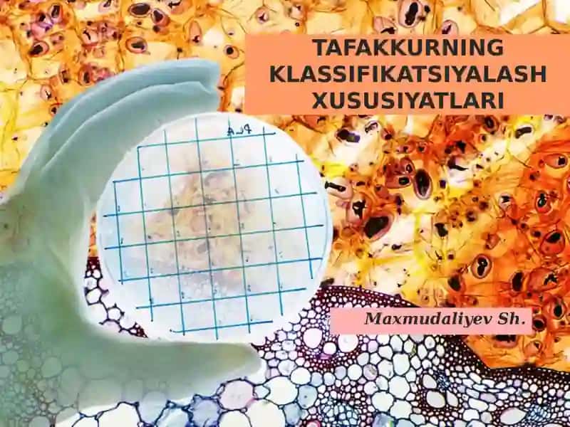Tafakkurning Klassifikatsiyalash Xususiyatlari