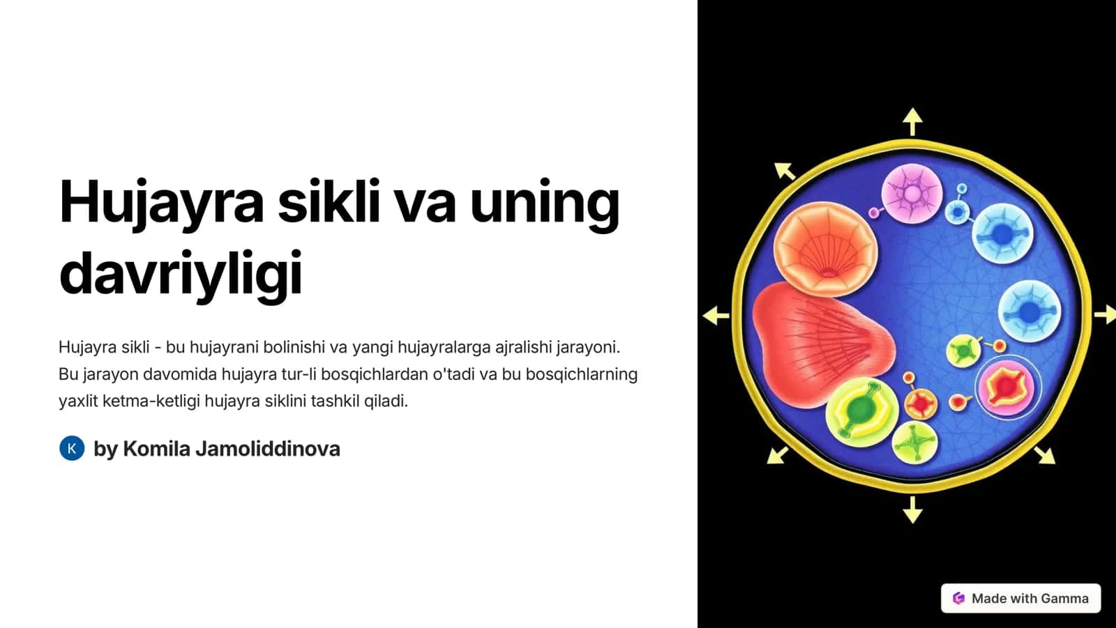 Hujayra sikli va uning davriyligi 1