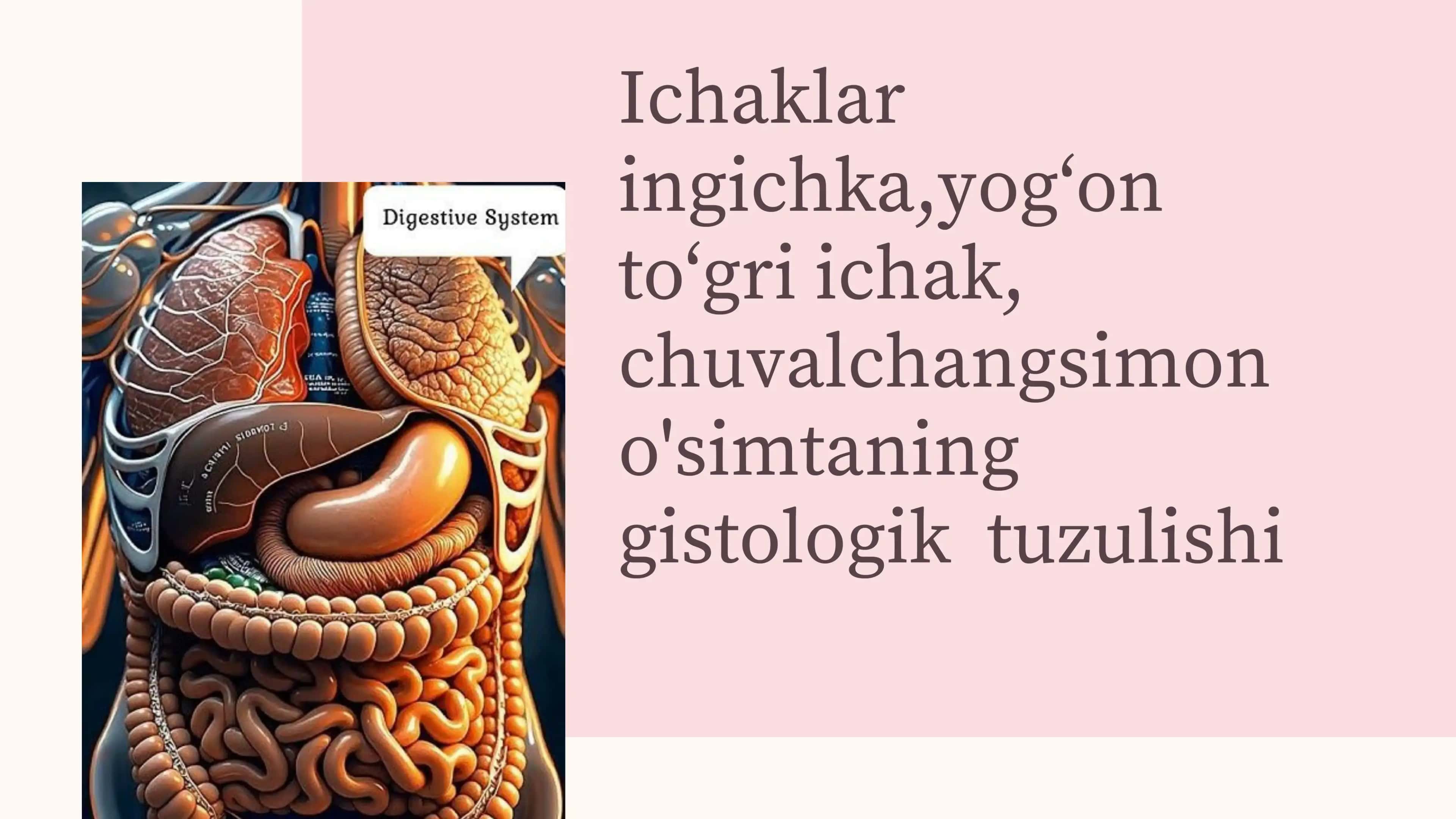 Reja: 1. INGICHKA ICHAK GISTOLOGIYASI 1