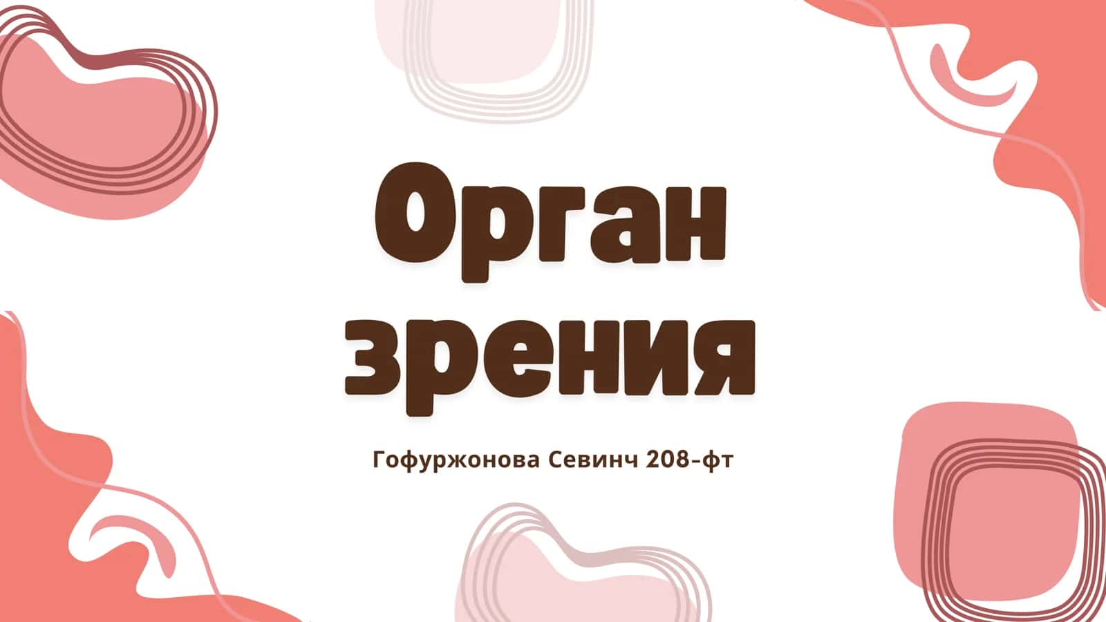 Орган зрения 1