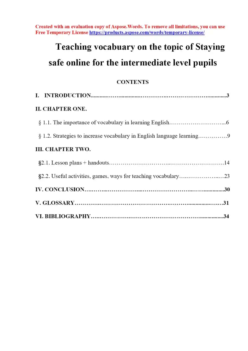 Teaching vocabulary on the topic of Staying safe online for intermediate level pupils 1