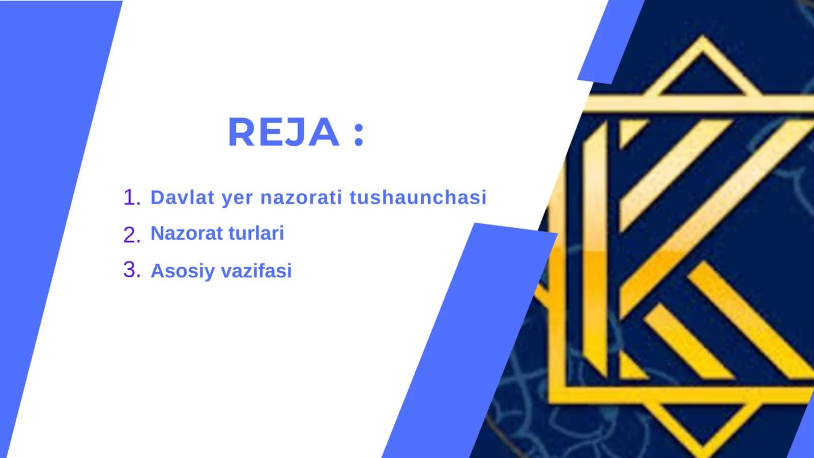 Davlat yer nazorati 1