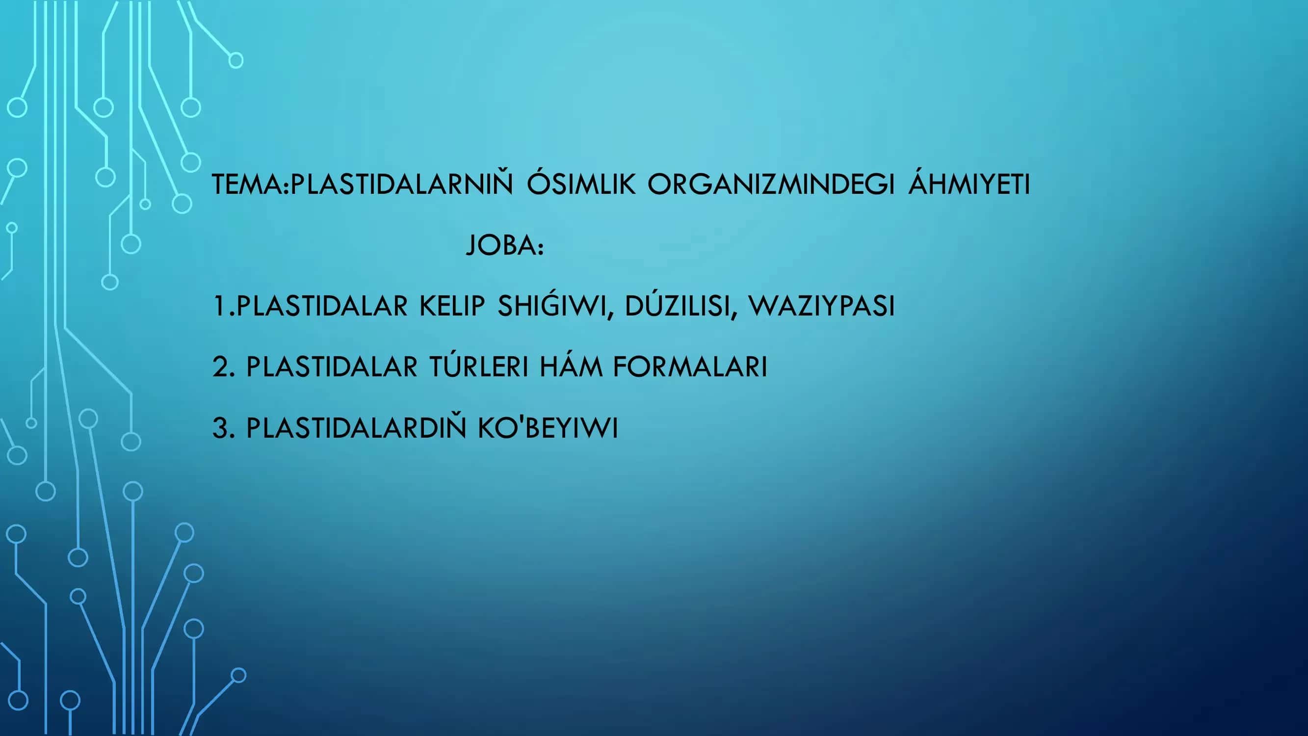PLASTIDALAR 1