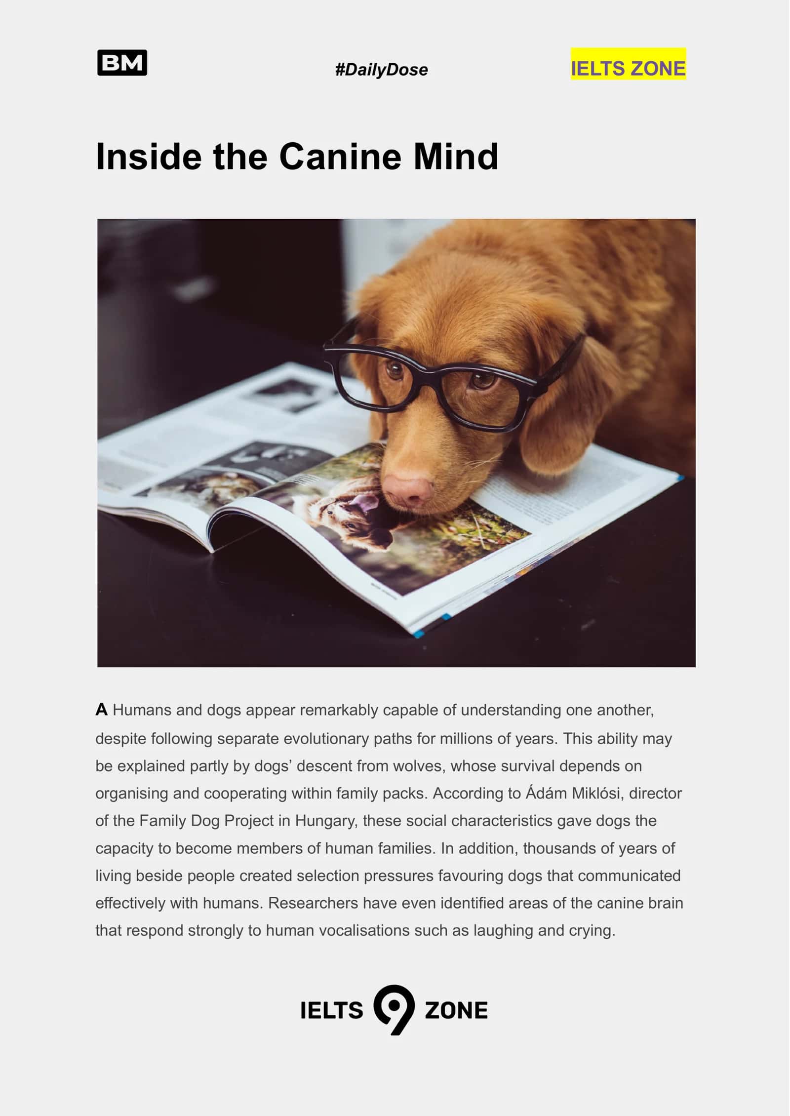 Inside the Canine Mind 1