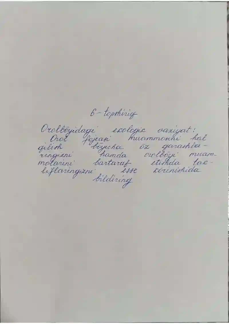 "Orol bo'yidagi ekologik vaziyat" mavzusida esse - Mustaqil ish (qo'l yozma)