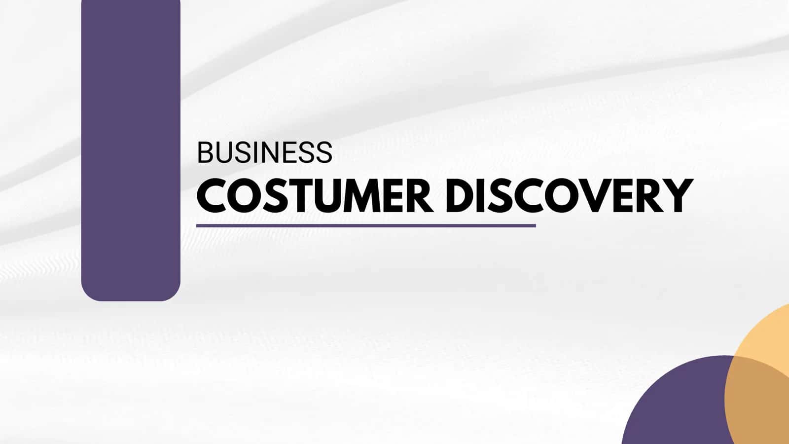 COSTUMER DISCOVERY BUSINESS PLAN 1