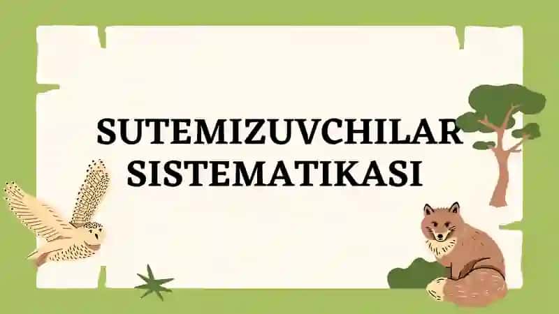 Sutemizuvchilar sistematikasi
