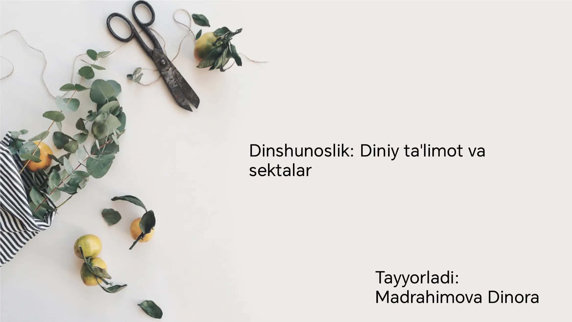 Diniy Sekta va Dinshunoslik 1