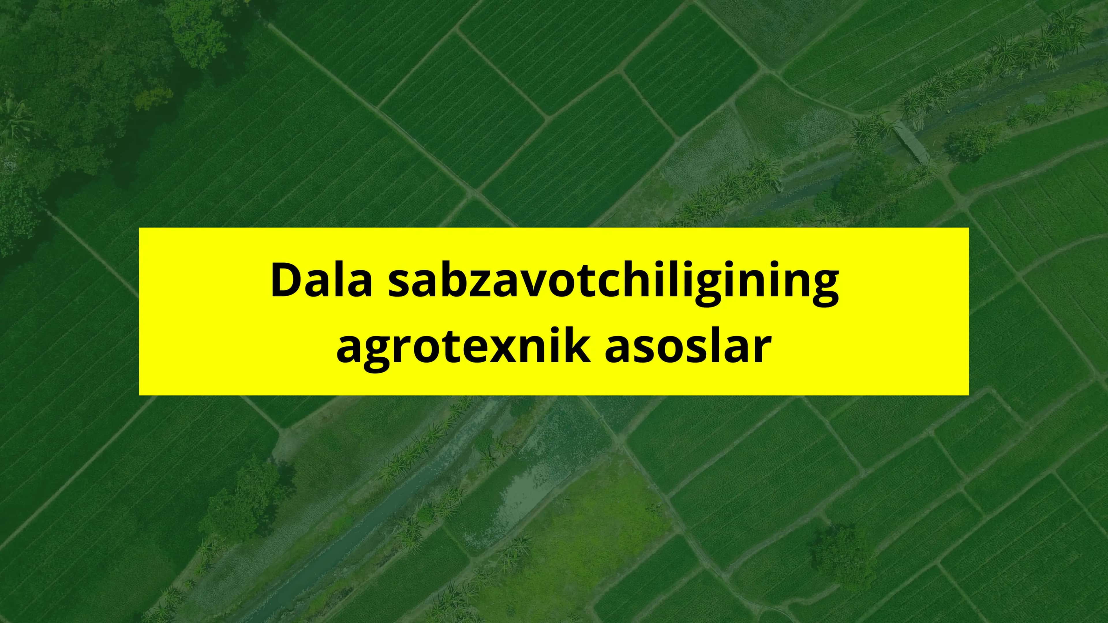 Dehqonchilik tizimi 1