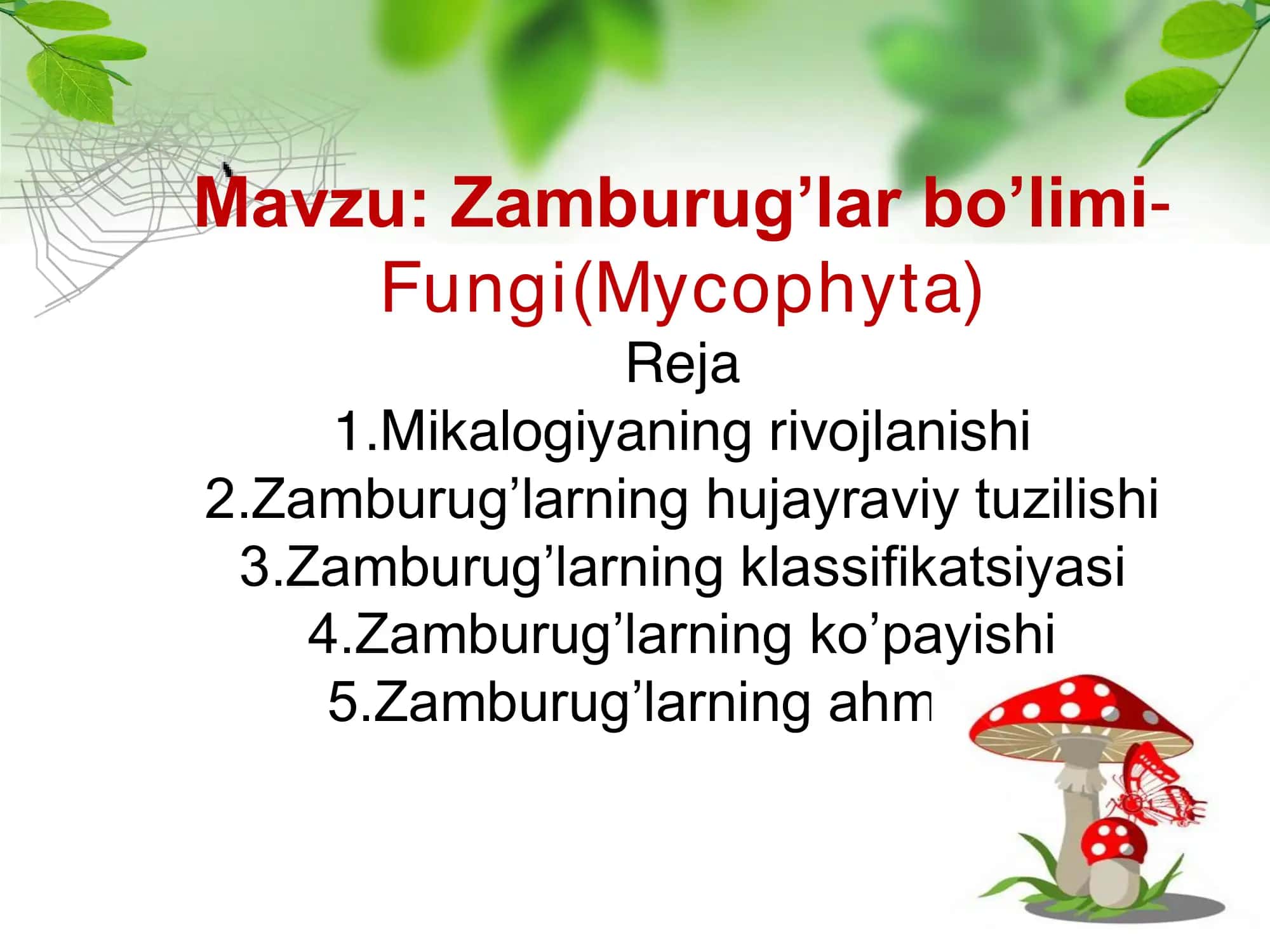Zamburug'lar 1