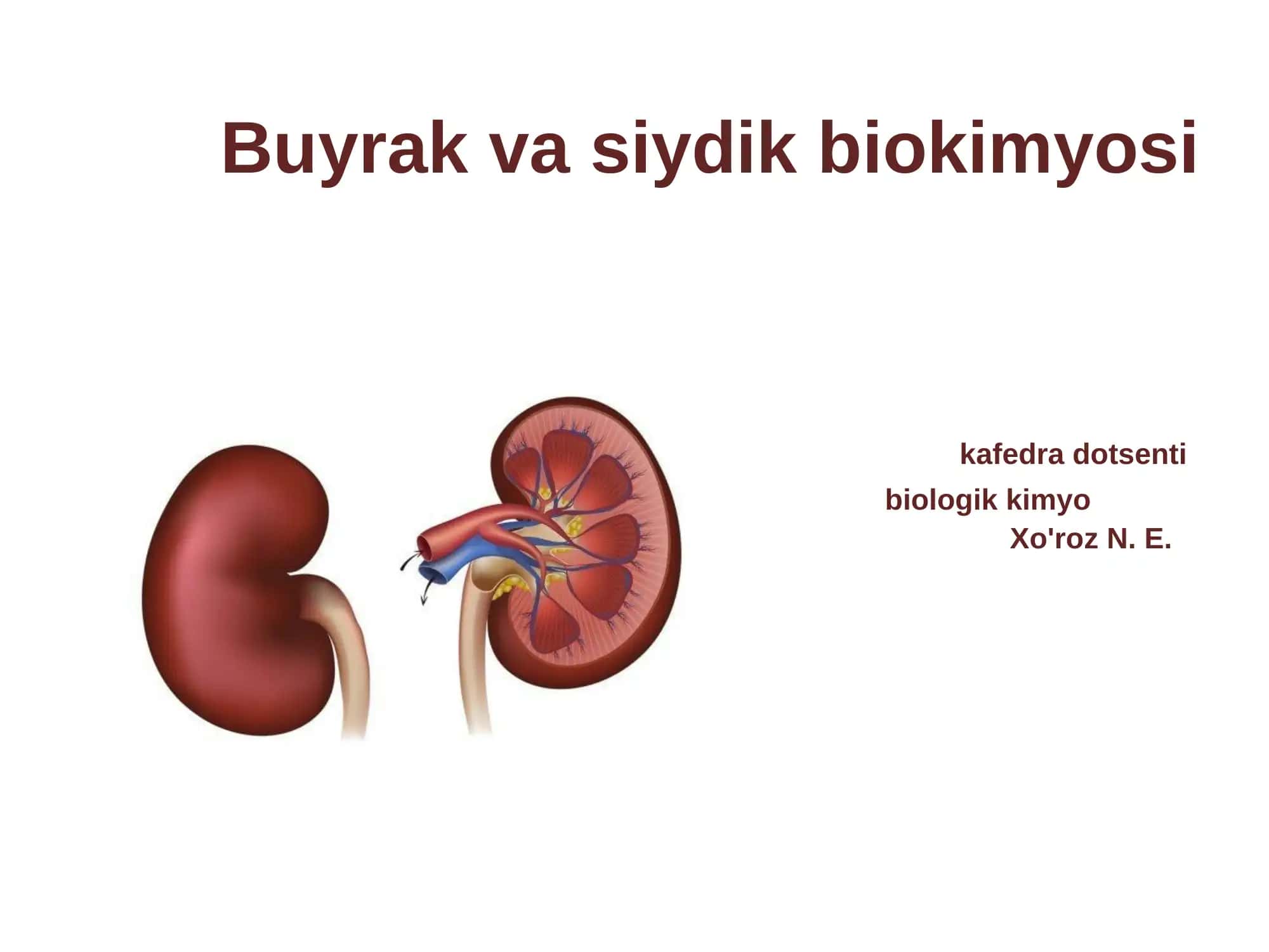 Buyrak va siydik biokimyosi 1