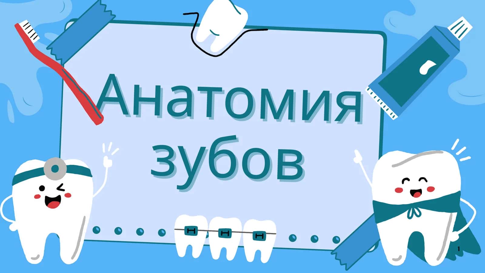 Анатомия зубов по эндодонтичемким критериям 1