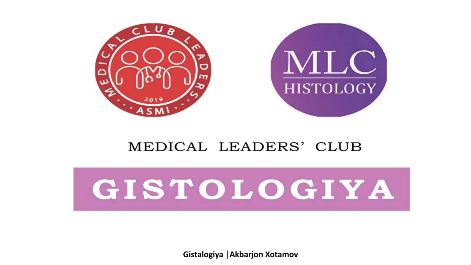 Bosh miya gistologiyasi 1