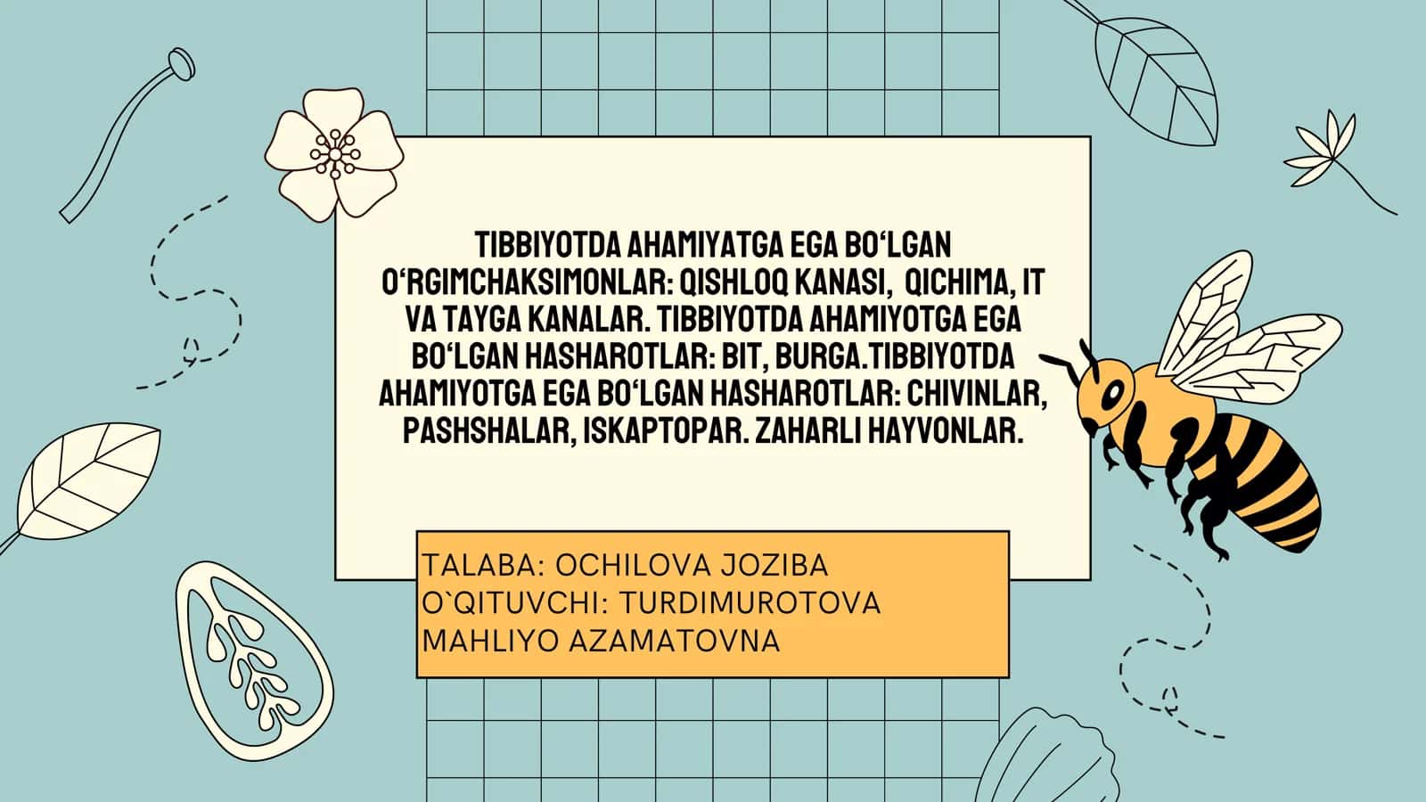 TALABA: OCHILOVA JOZIBA 1