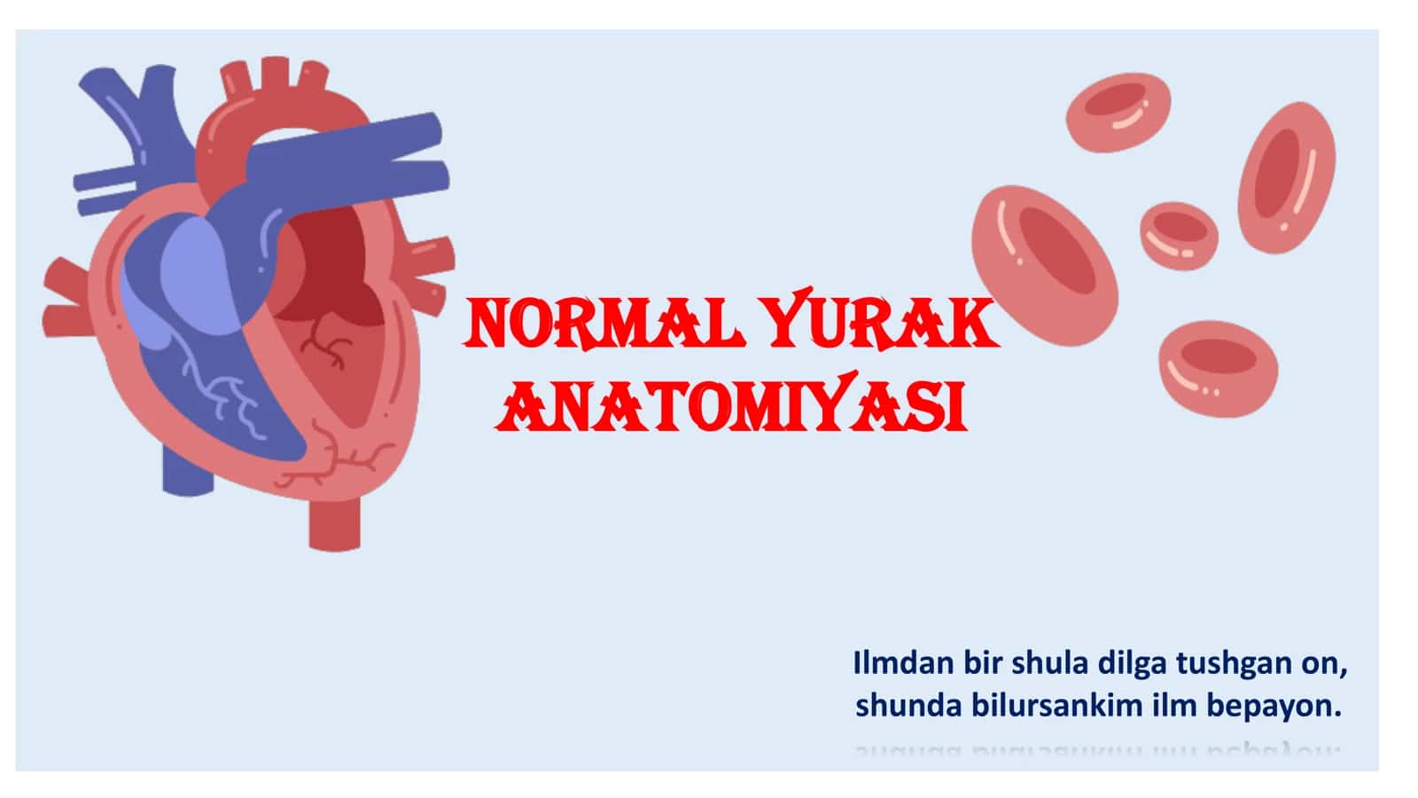 Normal yurak anatomiyasi 1