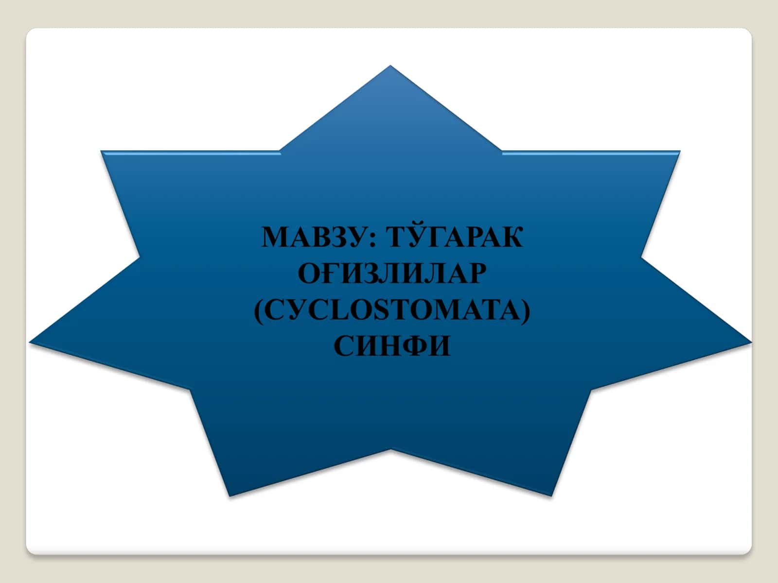 Умуртқалилар кенжа типи 1