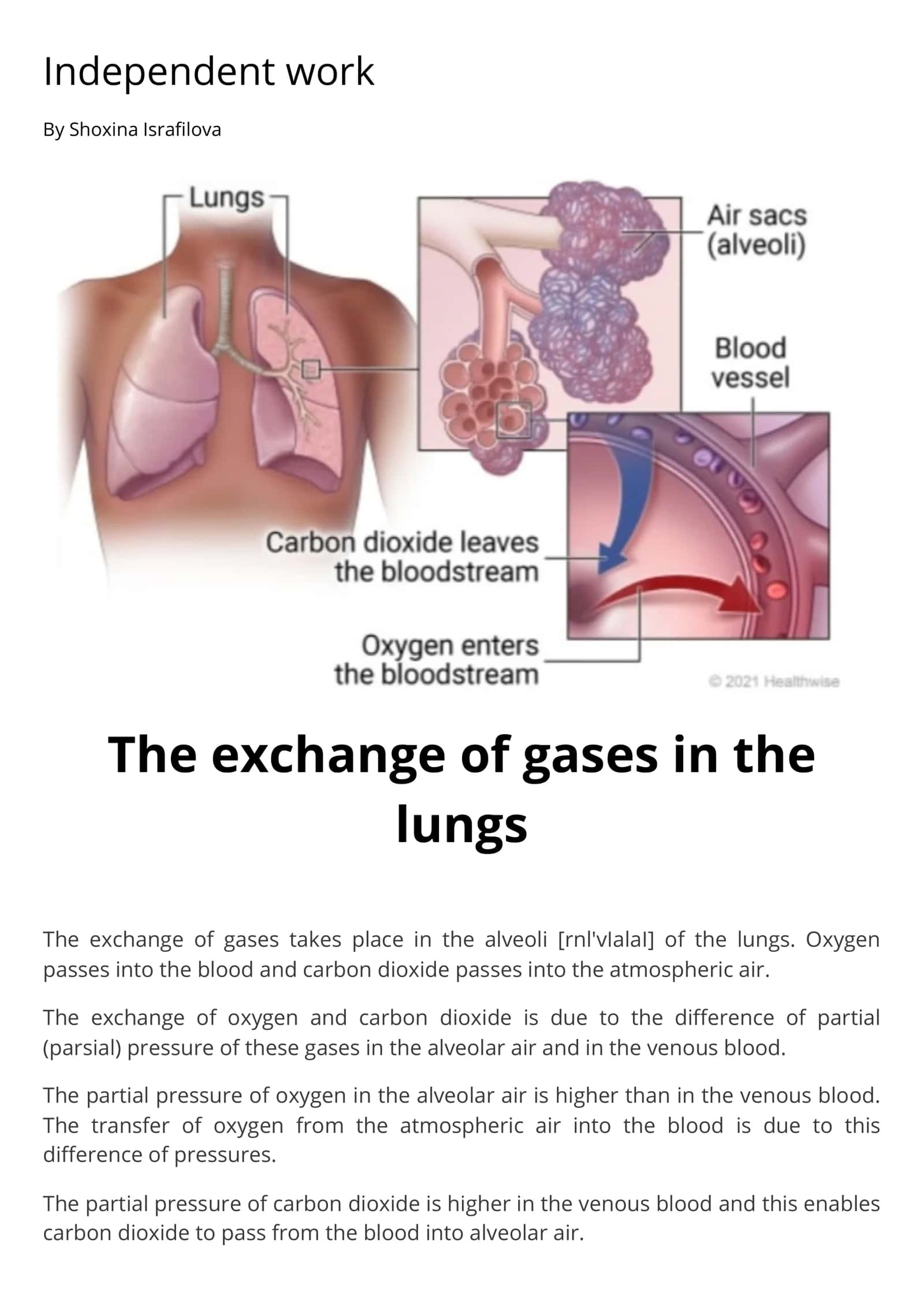 The exchange of gases 1