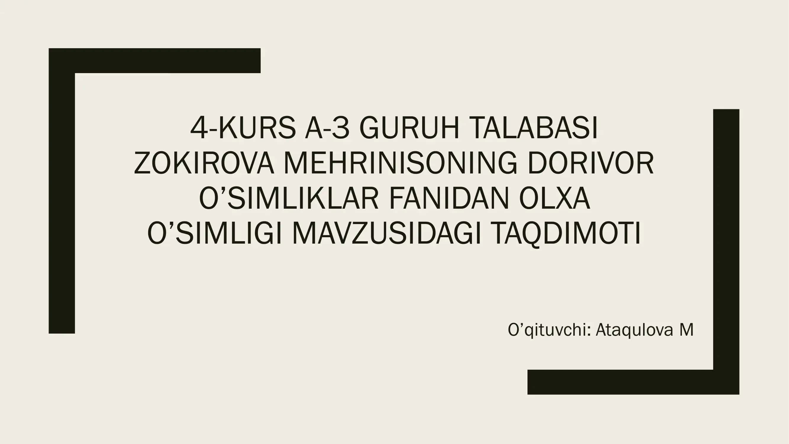 olxa o'simligi 1