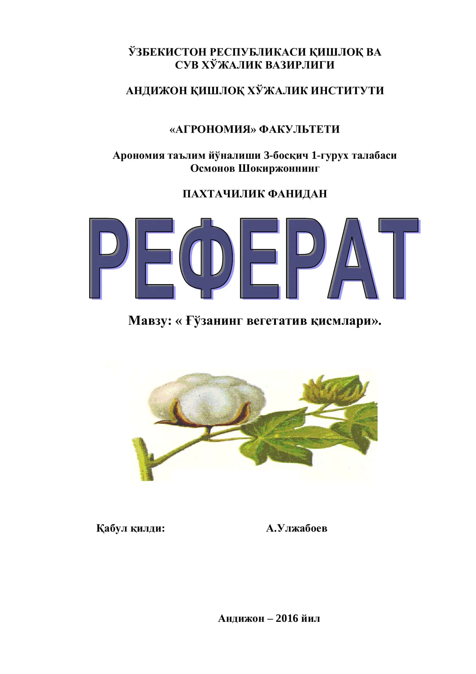 Ғўзaнинг вeгeтaтив қисмлaри 1