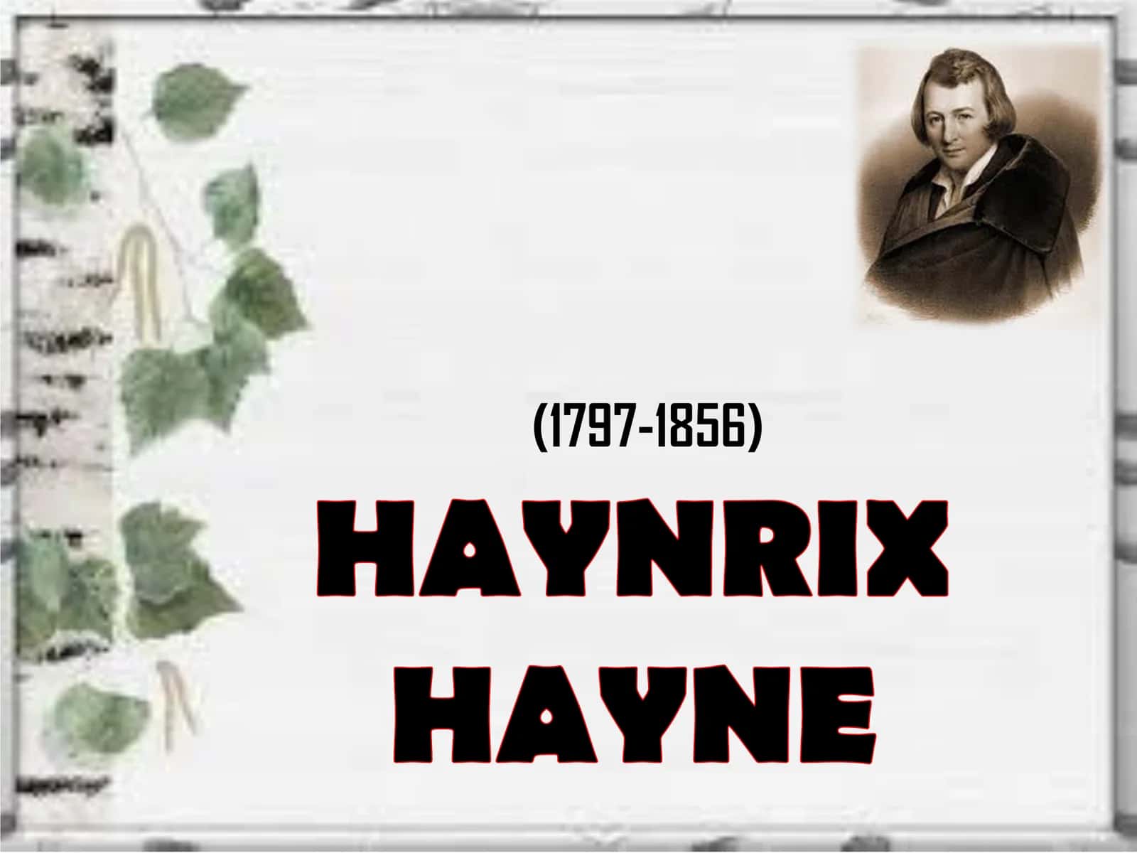 Haynrix Hayne 1