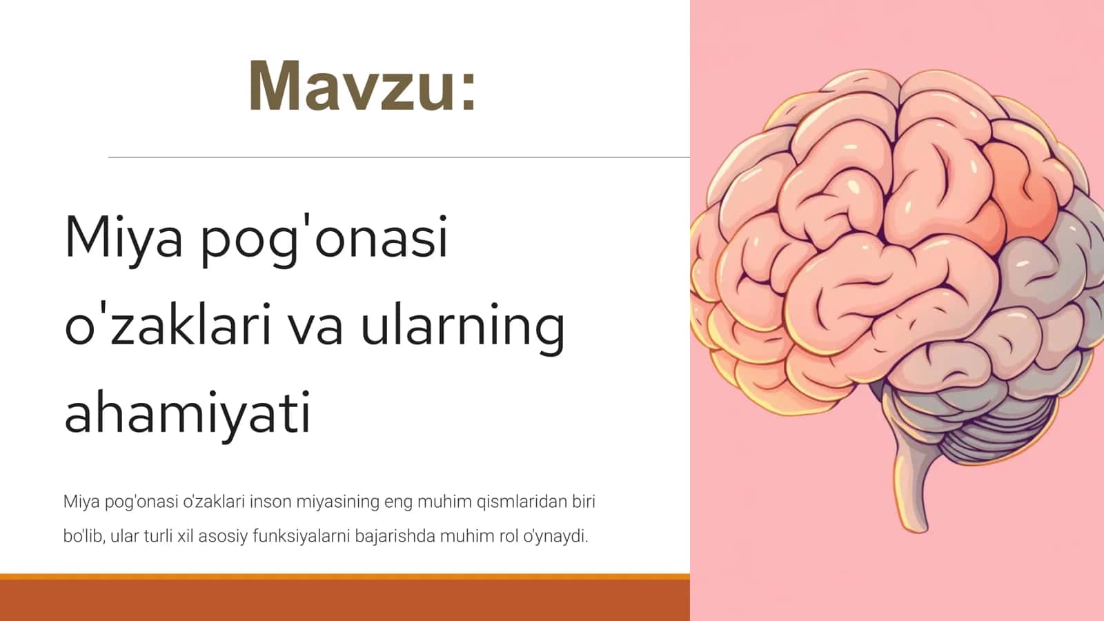 Miya pog'onasi 1