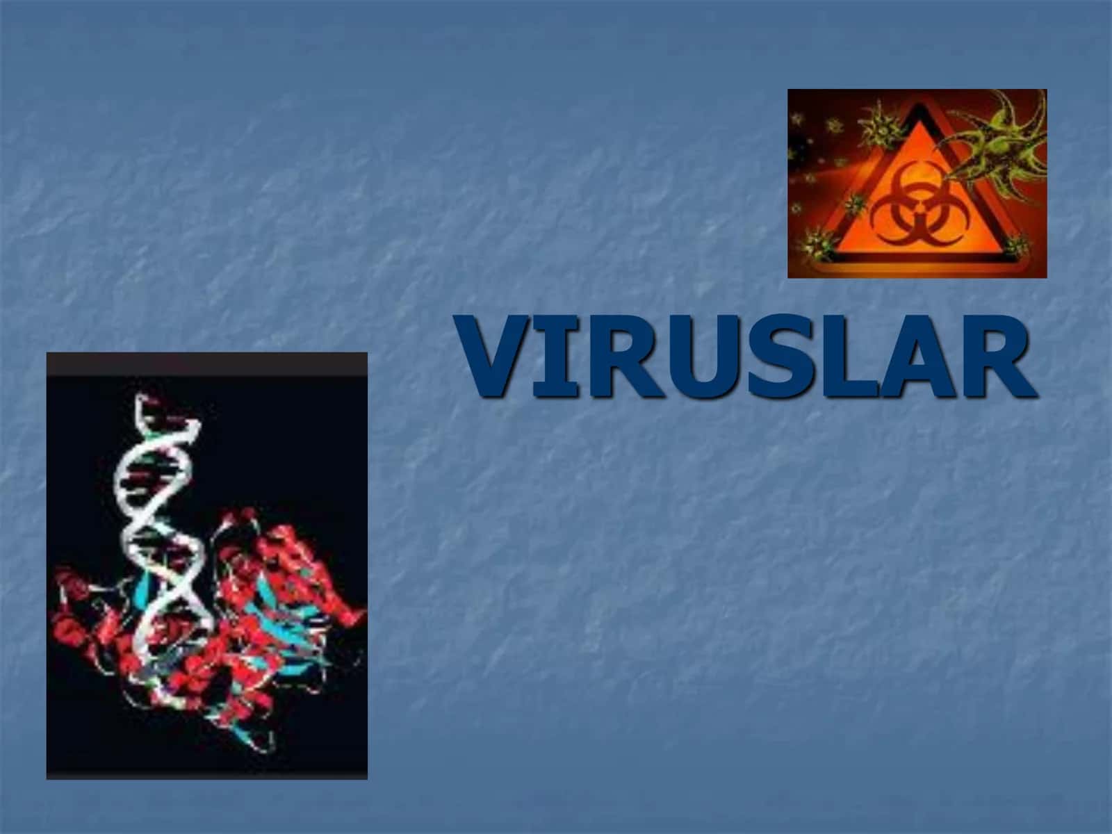 Viruslar 1