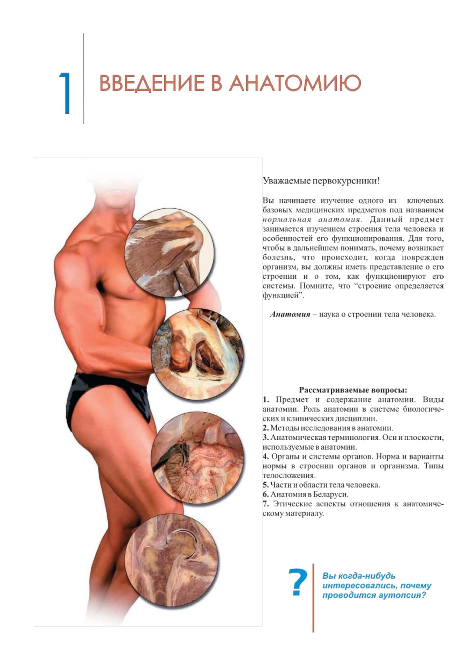 Анатомия 1