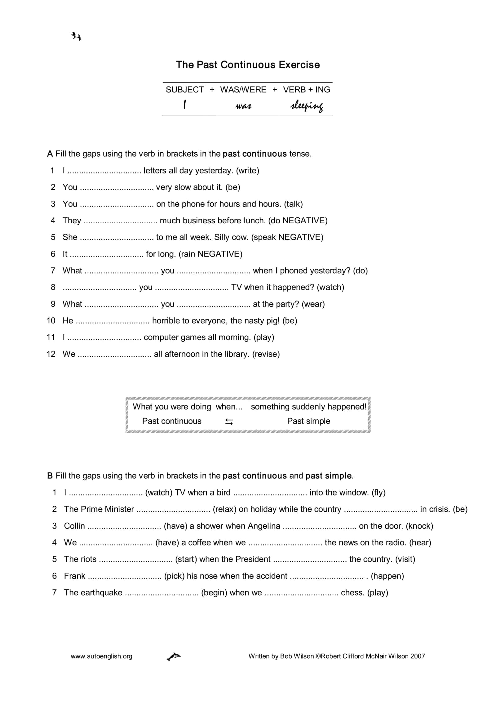 The Past Continuous Exercise 1