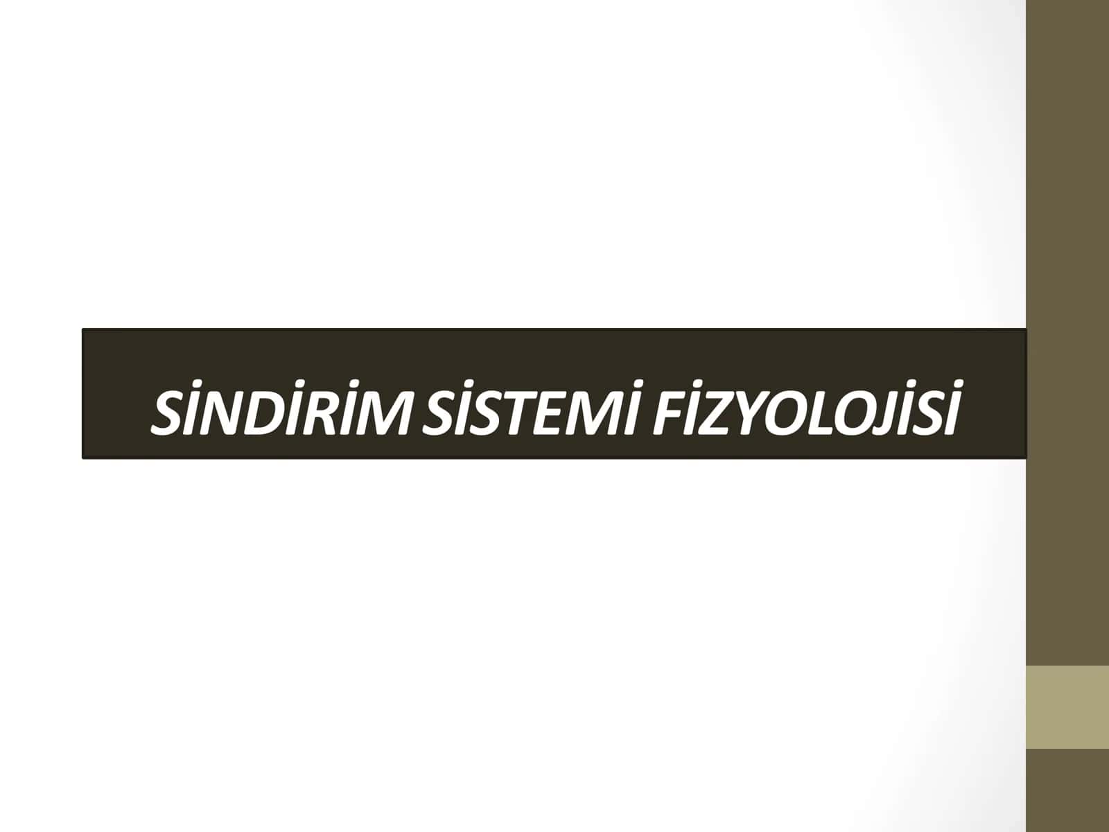ovqat hazm qilish sistemasi 1
