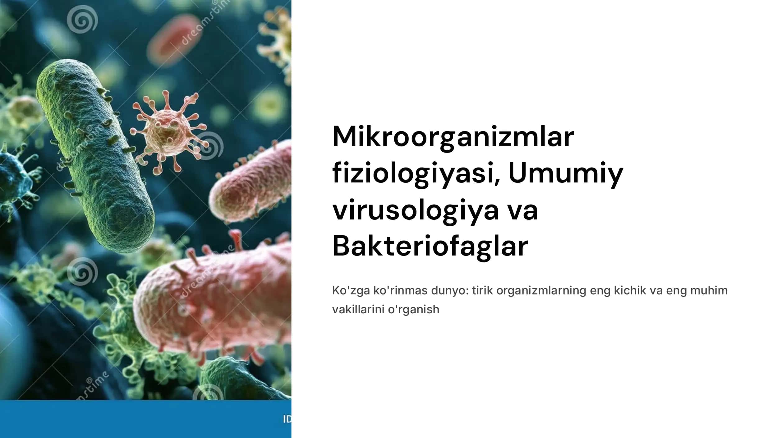 Mikroorganizmlar 1