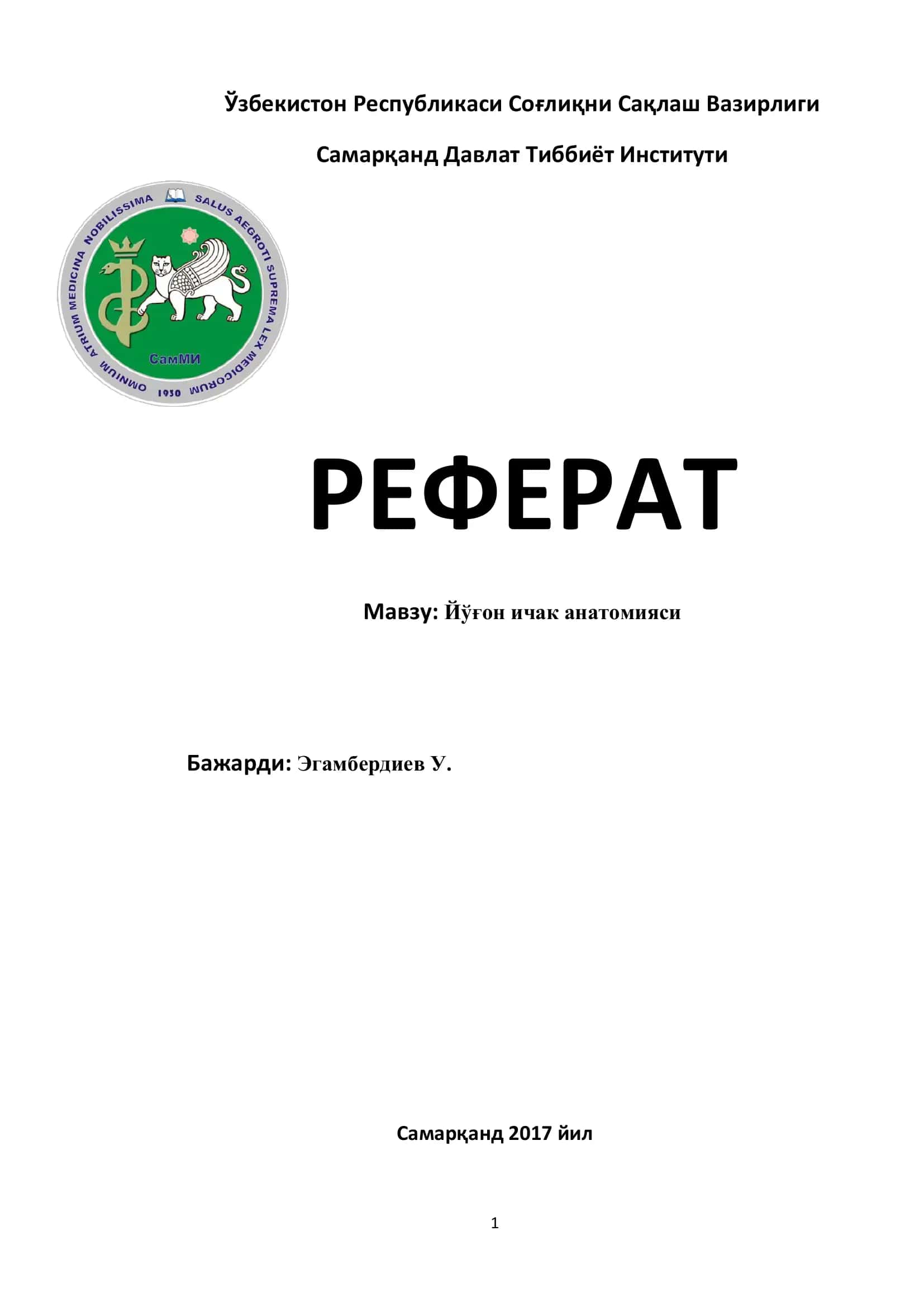 Йўғон ичак анатомияси 1