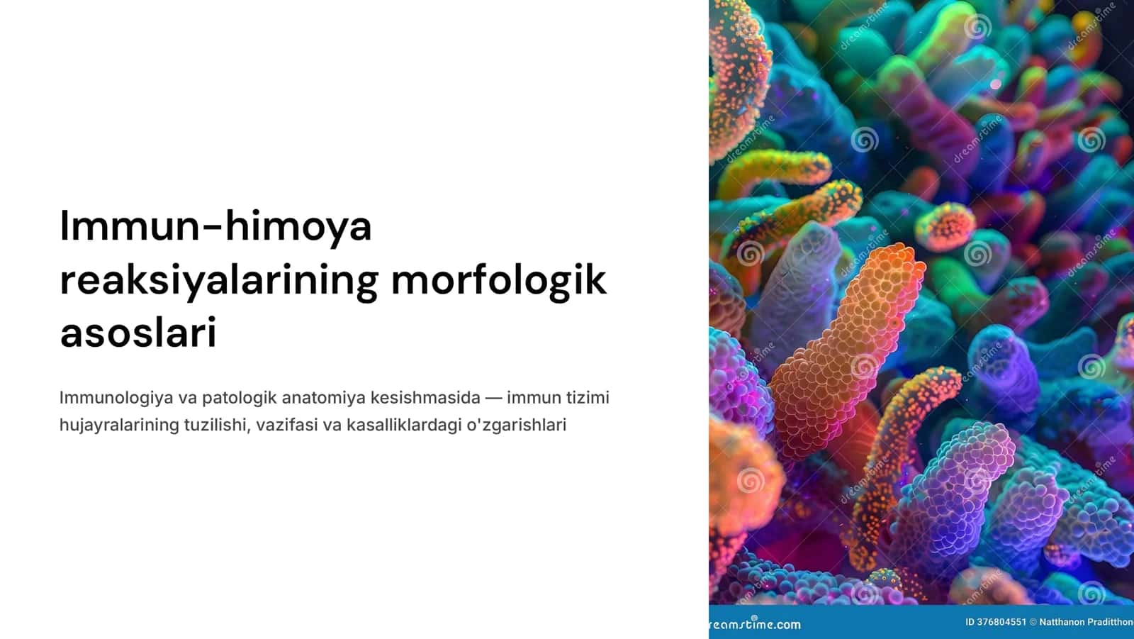 Immun-himoya rеaktsiyalarining morfologik asoslari. 1