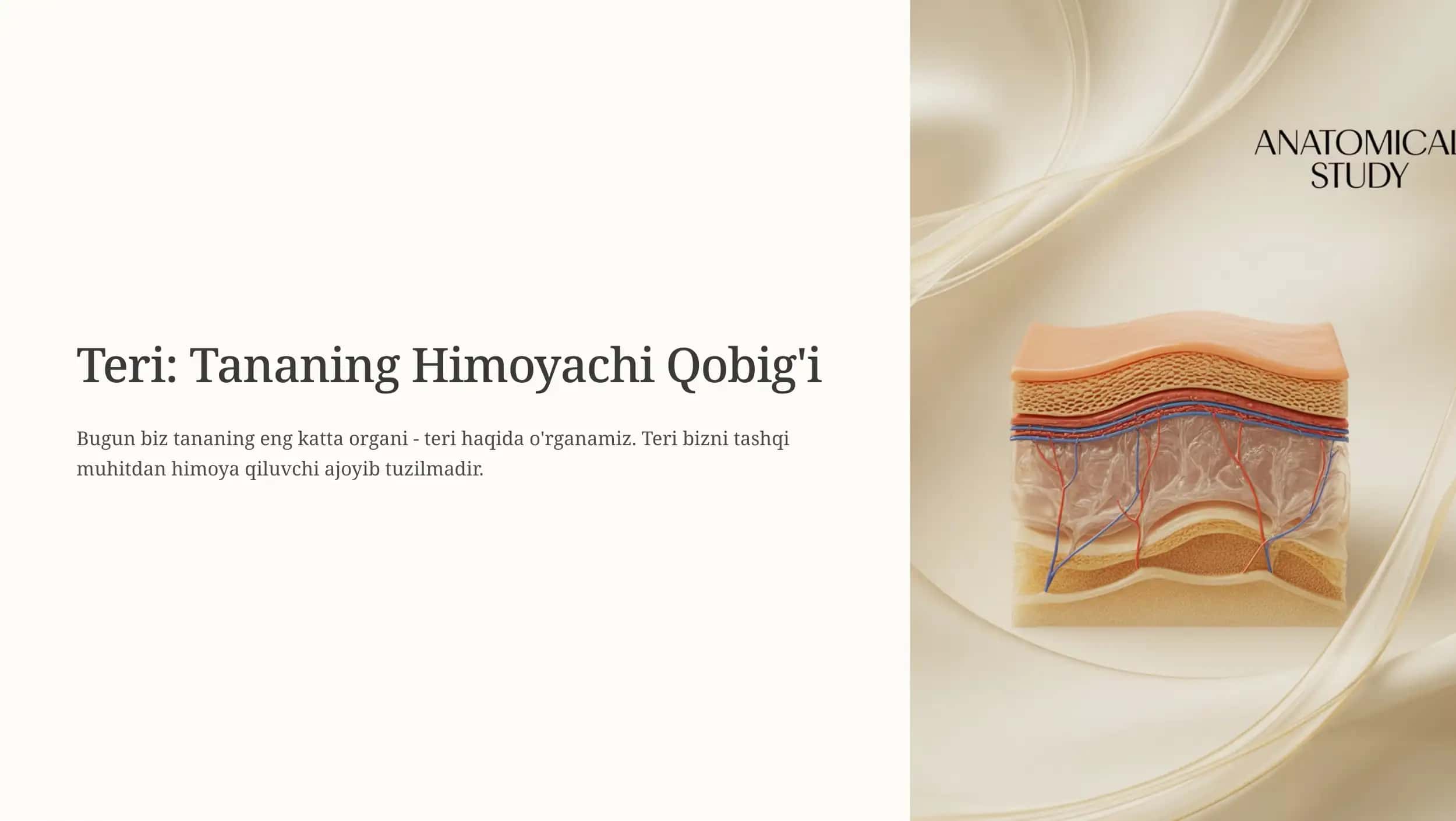 Teri: Tananing Himoyachi Qobig'i 1
