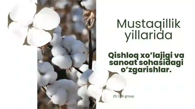 Mustaqillik yillarida qishloq xo'jaligi va sanoat sohasidagi o'zgarishlar.