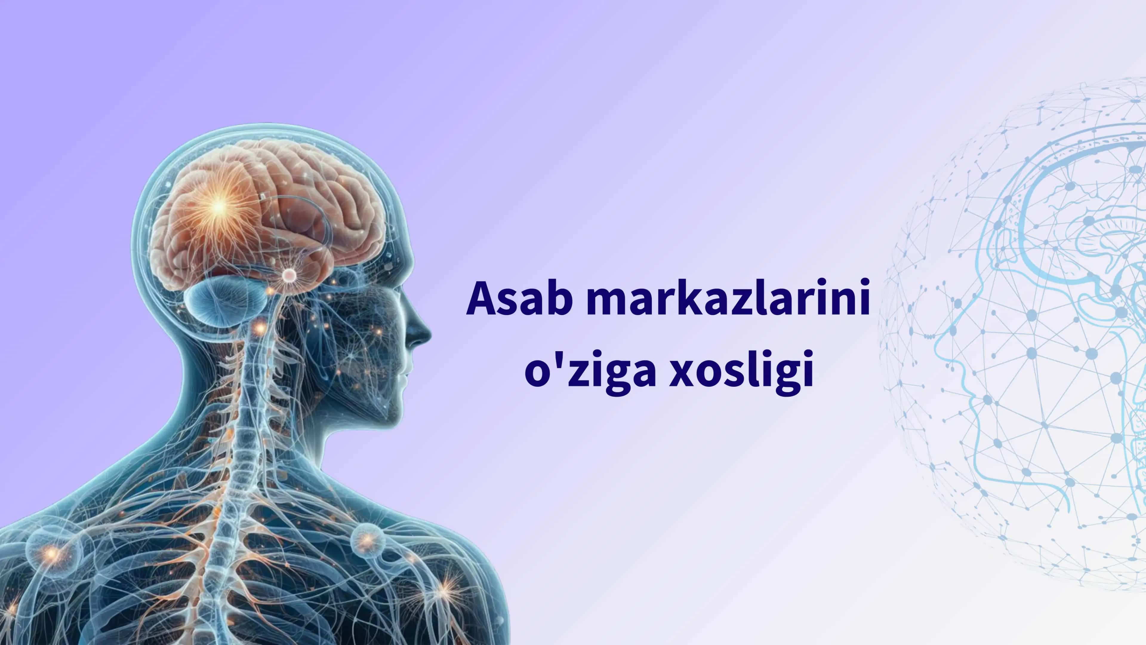 Asab markazlarini o'ziga xosligi 1