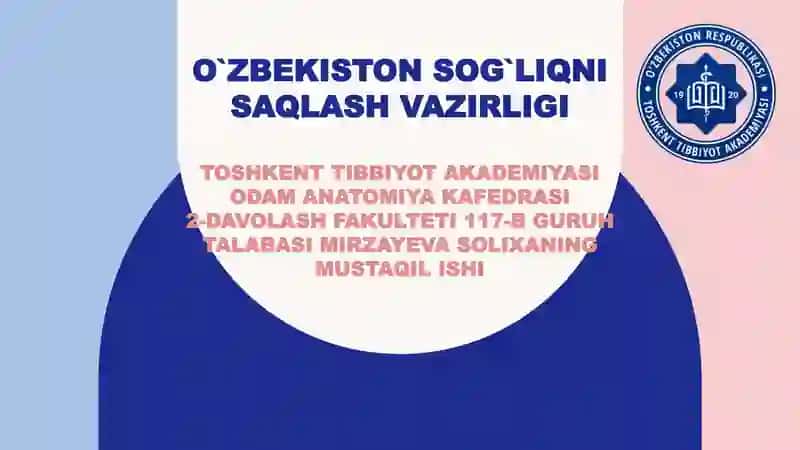 Oyoq suyaklari anatomiyasi