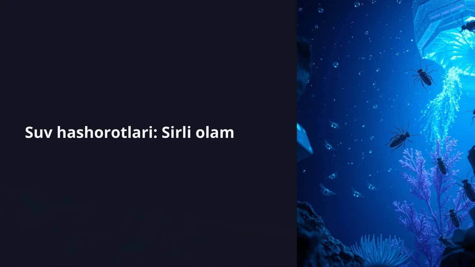Suv hashorotlari: Sirli olam 1