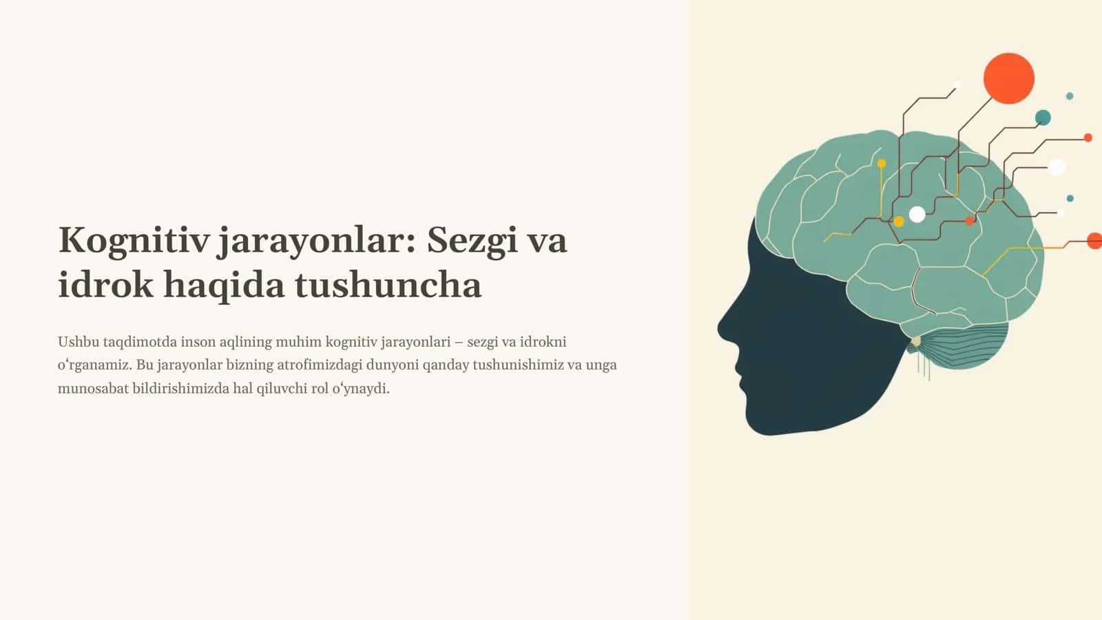 Kognitiv jarayonlar Sezgi va idrok haqida tushuncha 1