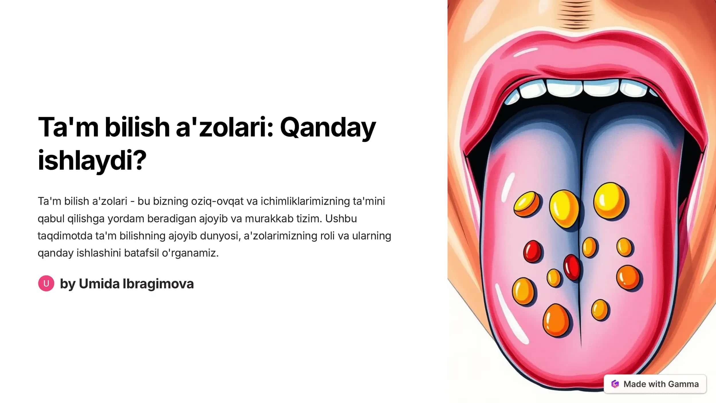 Ta'm bilish a'zolari: Qanday ishlaydi? 1