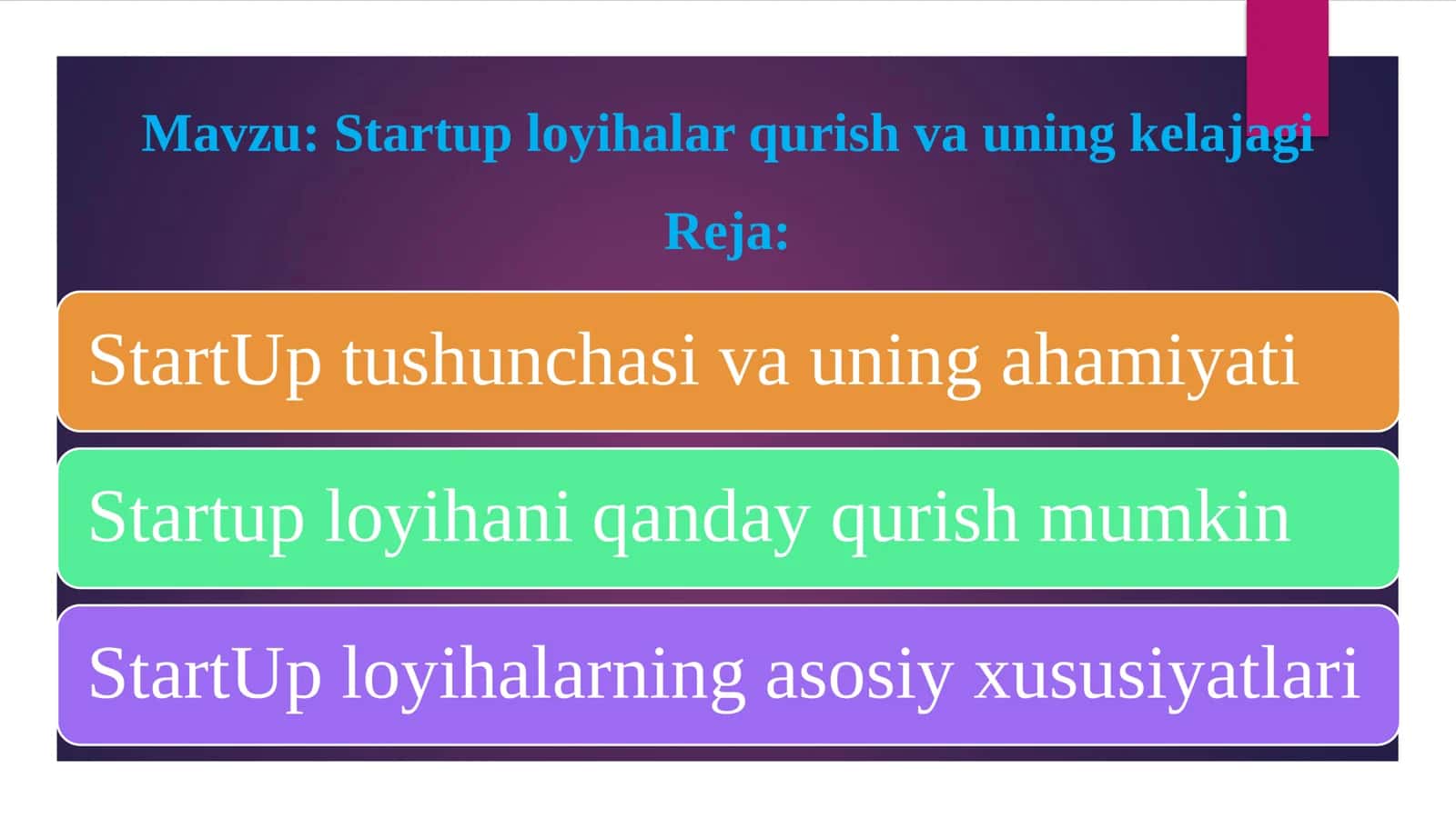 Startup loyihalar qurish va uning kelajagi 1