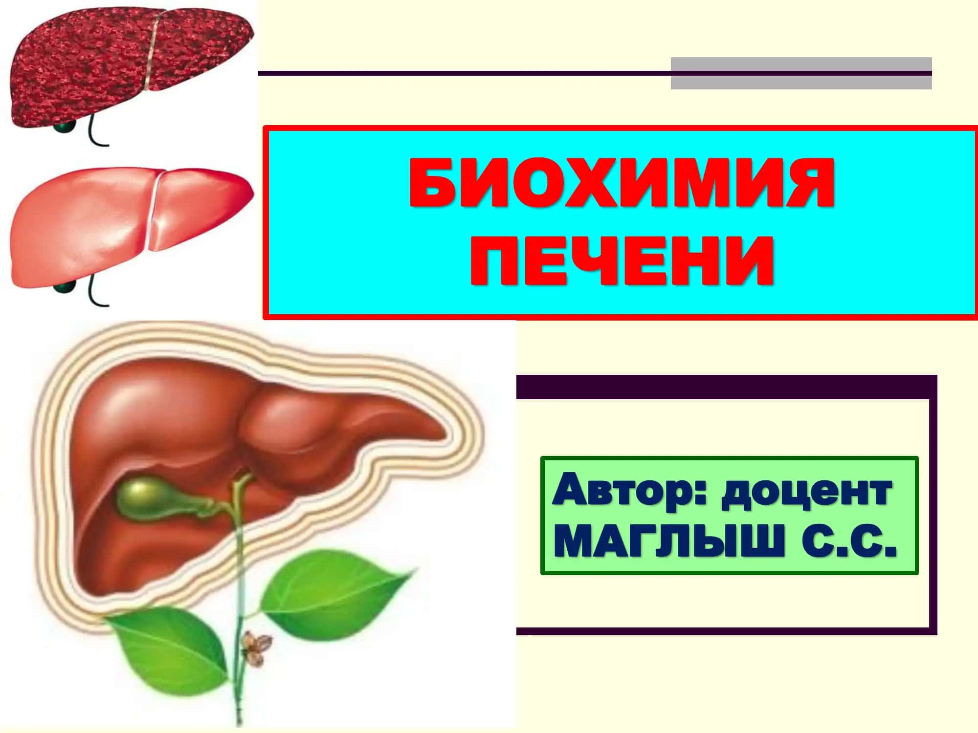 БИОХИМИЯ ПЕЧЕНИ 1