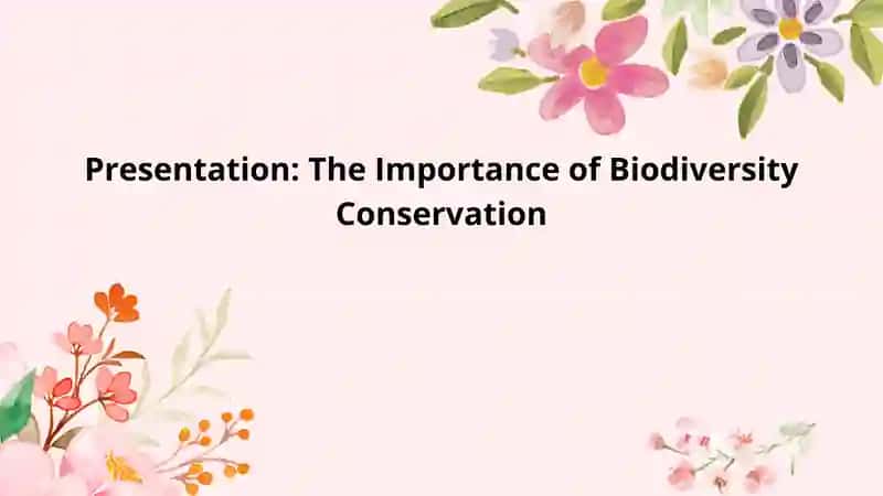 The Importance of Biodiversity Conservation