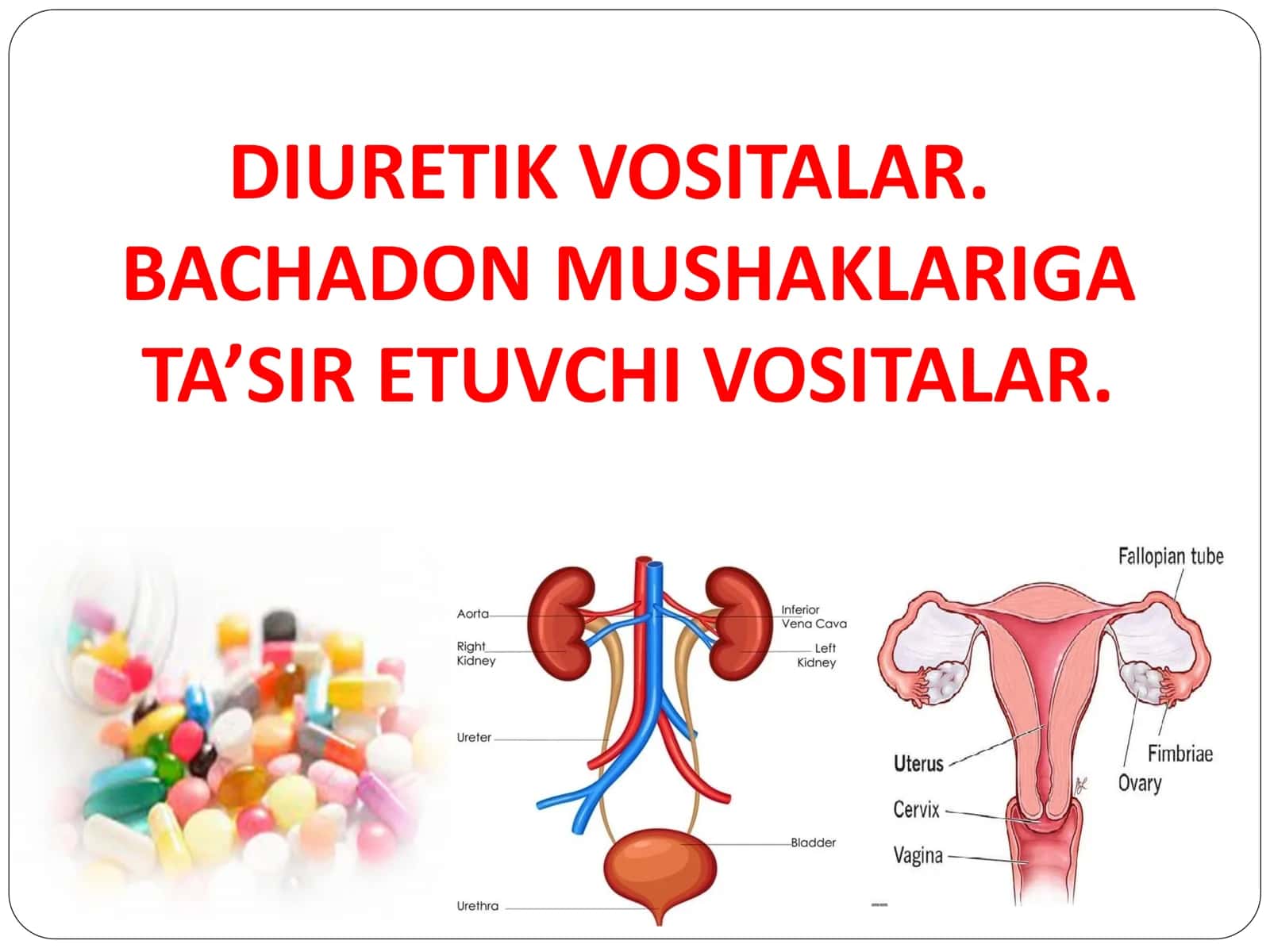 Diuretik vositalar va Bachadon mushaklariga ta'sir etuvchi dori vositalar 1